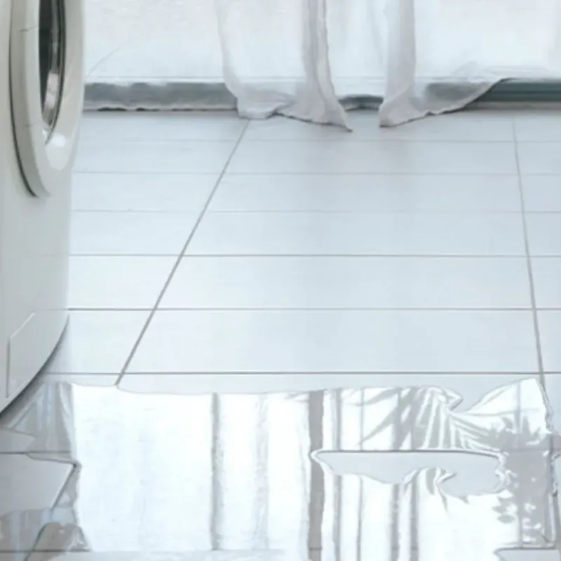 Appliance Leak Cleanup in Tuscola, IL