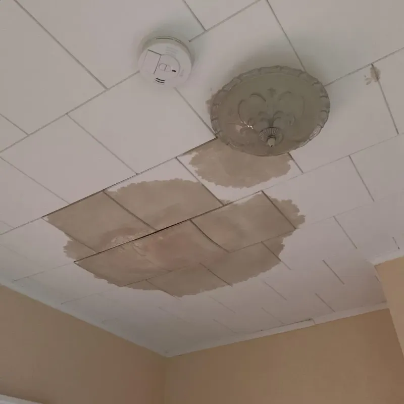 Ceiling Water Damage Repair in Tuscola, IL