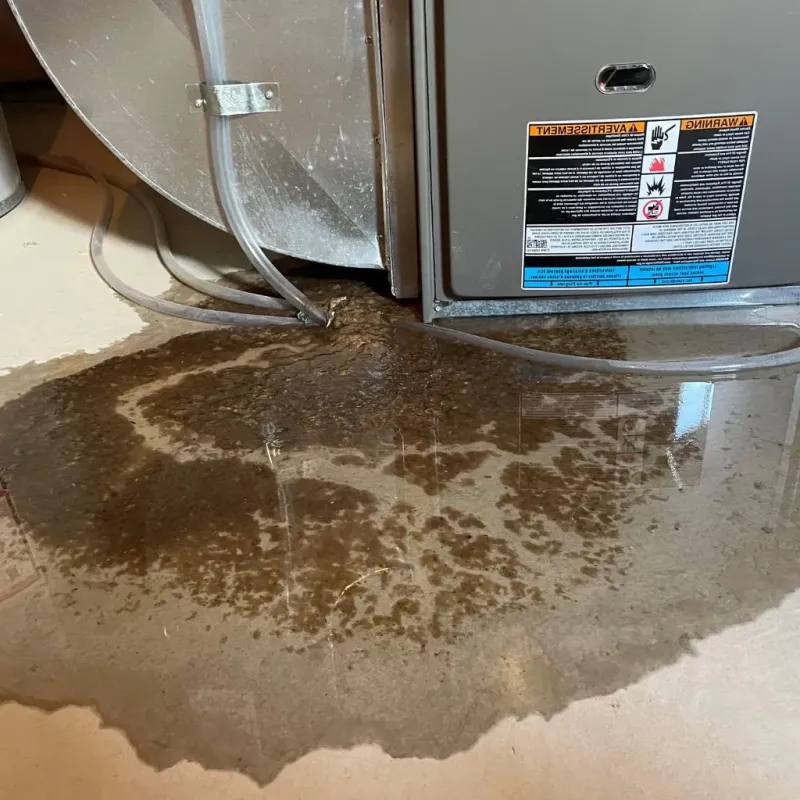 Pipe Burst and Leak Restoration in Tuscola, IL
