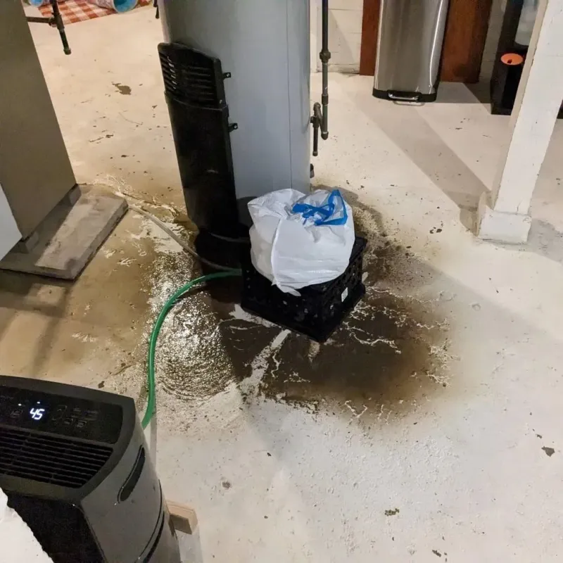 Sewage Backup Cleanup Service in Tuscola, IL